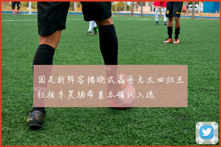 国足新阵容揭晓武磊蒋光太回归王钰栋李昊杨希基本确认入选