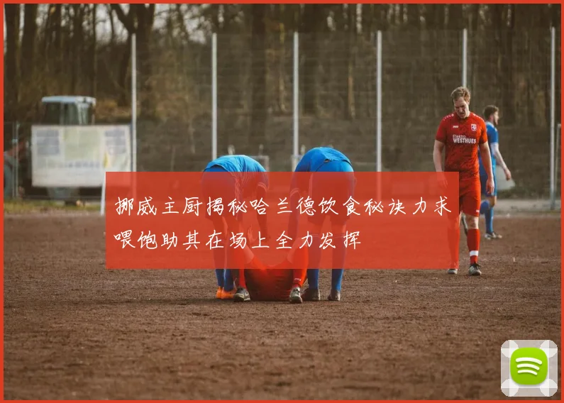 挪威主厨揭秘哈兰德饮食秘诀力求喂饱助其在场上全力发挥